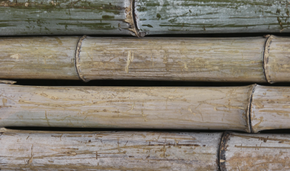 แปรรูปไม้ไผ้ พิชิตเงินแสน