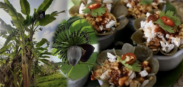 กระทงนิลกาฬ ไส้ยำหัวปลี